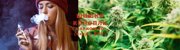 каннабис Богданович